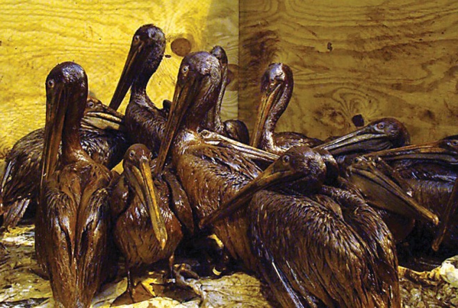 http://images.flatworldknowledge.com/barkansoc/barkansoc-fig15_x010.jpg
