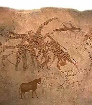 sculpturi pe piatra in sahara in desertul sahara nu este nici un loc pentru animale mari, cu excepția cămilelor, deoarece acestea sunt singurele animale bine adaptate la acest mediu. dar in urma cu mii de ani, aceste animale de savana paşteau aici, inclusiv girafe și zebre pentru că a fost un teren fertil plin de iarbă verde și apă de băut. potopul lui noe a schimbat peisajul și deșertul s-a format în mii de ani. nu milioane de ani, cum presupun evoluționiști că s-a format.