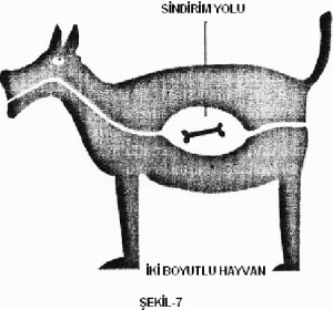 image009