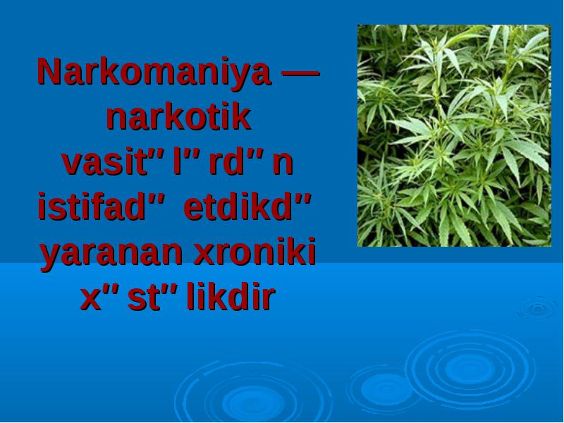 ðð¾ñð¾ð¶ðµðµ ð¸ð·ð¾ð±ñð°ð¶ðµð½ð¸ðµ