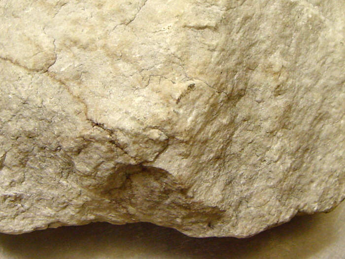 http://luirig.altervista.org/cpm/albums/geolus-69/26168-priceite--pandermite----collected-by-a-e--foote--1895--from-los.jpg