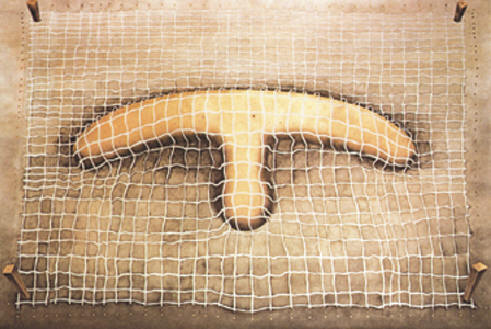 http://www.revistaarca.ro/2012/4-5-6/08%20album/album_13.jpg
