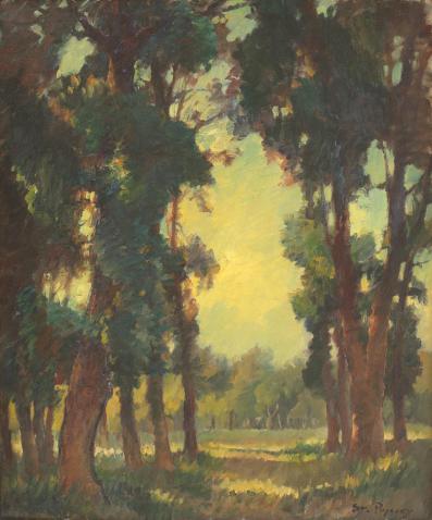ștefan popescu - luminiş de pădure