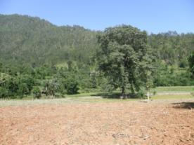 pa050095