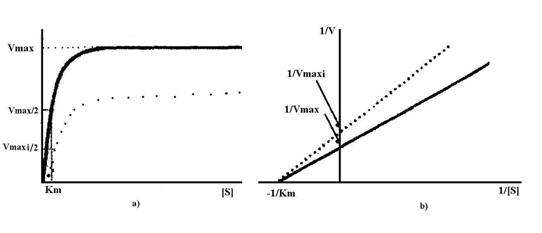 http://www.scritube.com/files/biologie/238_poze/image071.jpg