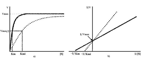http://www.scritube.com/files/biologie/238_poze/image067.jpg