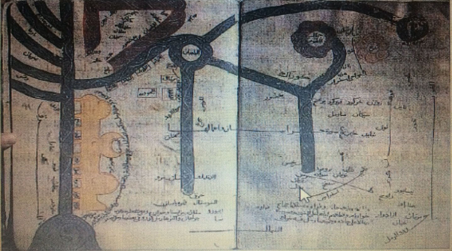 c:\users\juma\desktop\img_2749.jpg