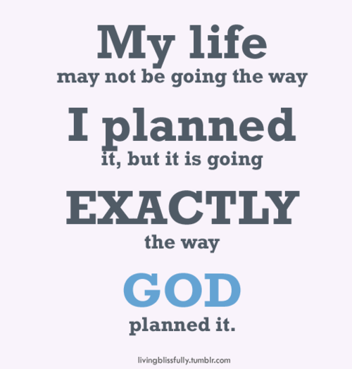 image result for god\'s plan