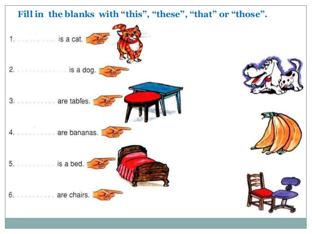 http://image.slidesharecdn.com/aan-130811155106-phpapp02/95/a-an-this-that-these-those-9-638.jpg?cb=1376237746