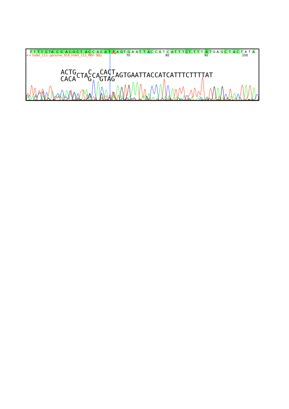 trace_111_edited.pdf