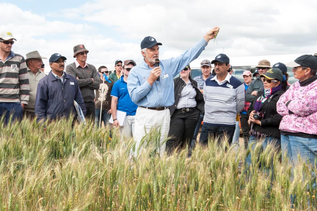 c:\users\dvarnavas\documents\2016 grains highlights publication\reseacrch highlight photos\12 c dry sowing strategies the quiet revolution in wa farming systems (1).jpg