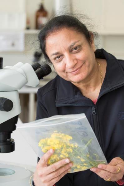 c:\users\dvarnavas\documents\2016 grains highlights publication\reseacrch highlight photos\pg 81 m16_2469 ravjit khangura.jpg