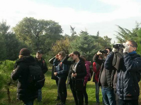 kalkuş, validebağ´da kiş göçmen kuşlarini gözlemledi