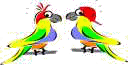 parrot