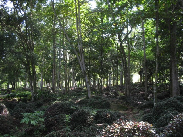 parque nacional monte eta
