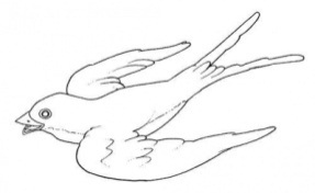 http://www.qbebe.ro/uploads/desene/thumbs2/desene_2633.jpg