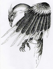 http://fc00.deviantart.net/fs70/i/2010/335/2/6/stymphalian_bird_by_verreaux-d341cdy.jpg