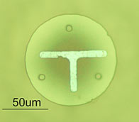 nanotop.jpg