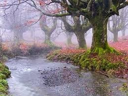 http://4.bp.blogspot.com/-pmcqkmthcps/uoksqg1e1mi/aaaaaaaabbk/jtagpcu355q/s1600/images.jpg