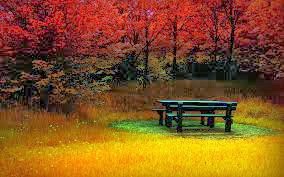 http://1.bp.blogspot.com/-ucm8uvjctzg/uojb-svnrci/aaaaaaaabb8/jk36phh-69m/s1600/images.jpg
