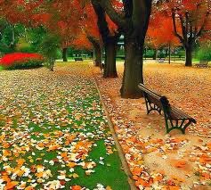 http://4.bp.blogspot.com/-icobyoib34a/umfjy_yhlqi/aaaaaaaabai/gn8xqam3p5o/s1600/images.jpg