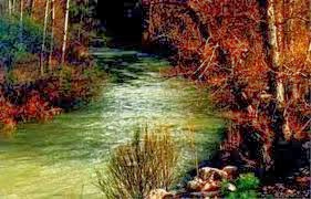 http://1.bp.blogspot.com/-lkvwldsvdgw/uqoousnpvwi/aaaaaaaabem/xelwfdhzkqg/s1600/images.jpg