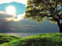 http://4.bp.blogspot.com/-oa6tcweilgk/unvppnxbvxi/aaaaaaaaba0/i7titek424i/s1600/images.jpg