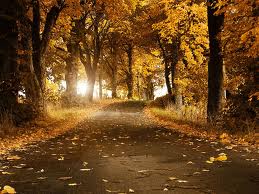http://3.bp.blogspot.com/-wxmksd3o-d0/uljcseobzqi/aaaaaaaaa2u/6itmydqvuzc/s1600/images.jpg