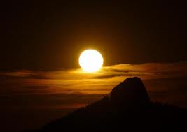 http://3.bp.blogspot.com/-8gnlwvrsb00/uf-ec7wdsmi/aaaaaaaaaqc/mektgywnvkw/s1600/images.jpg