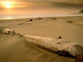 http://2.bp.blogspot.com/_hi5h70dozbq/tgsg4ae6bqi/aaaaaaaaajs/ws_5blbosc4/s320/praia-deserta-42534.jpg