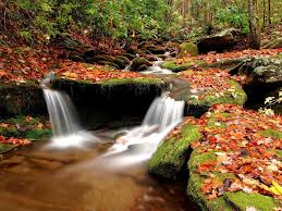 http://3.bp.blogspot.com/-hh9wcwmnta8/um9a3_-2n5i/aaaaaaaaa5o/9jghmiodr0g/s1600/images.jpg