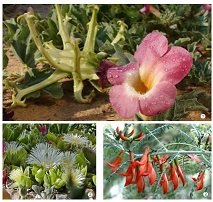 a close up of a flower description generated with very high confidence