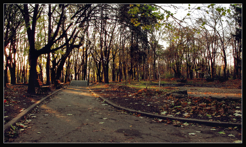 800px-embernov