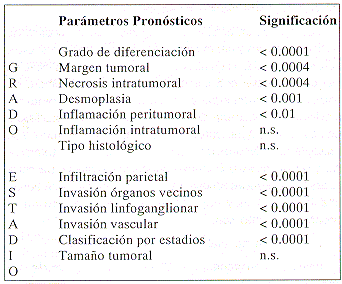 ../carcinoma%20colorrectal_archivos/tb2.gif