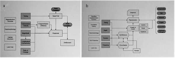 this figure consists of box and arrow diagrams relating life history events to landscape level effects. the original text should be referred to for the detail in the diagram.