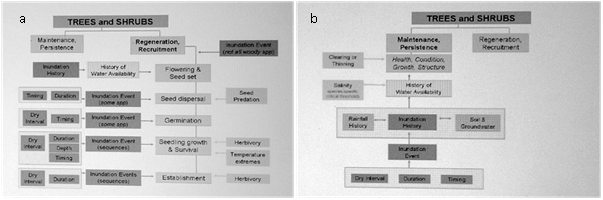 this figure consists of box and arrow diagrams taken directly from roberts et al. 2009. the original text should be referred to for the detail in the diagram.