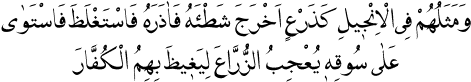 http://www.risaleinurenstitusu.org/tr/kulliyat/images/books/mekt/b426.gif