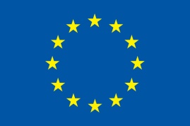 d:\downloads\flag_yellow_high.jpg