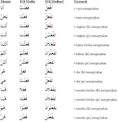 http://1.bp.blogspot.com/_ihoklhbgeq8/rx6dgbxigsi/aaaaaaaaacu/9sqdpucbkmk/s400/yaanita.jpg