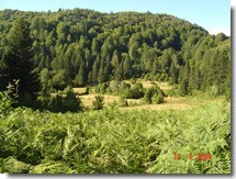 psödamaki
