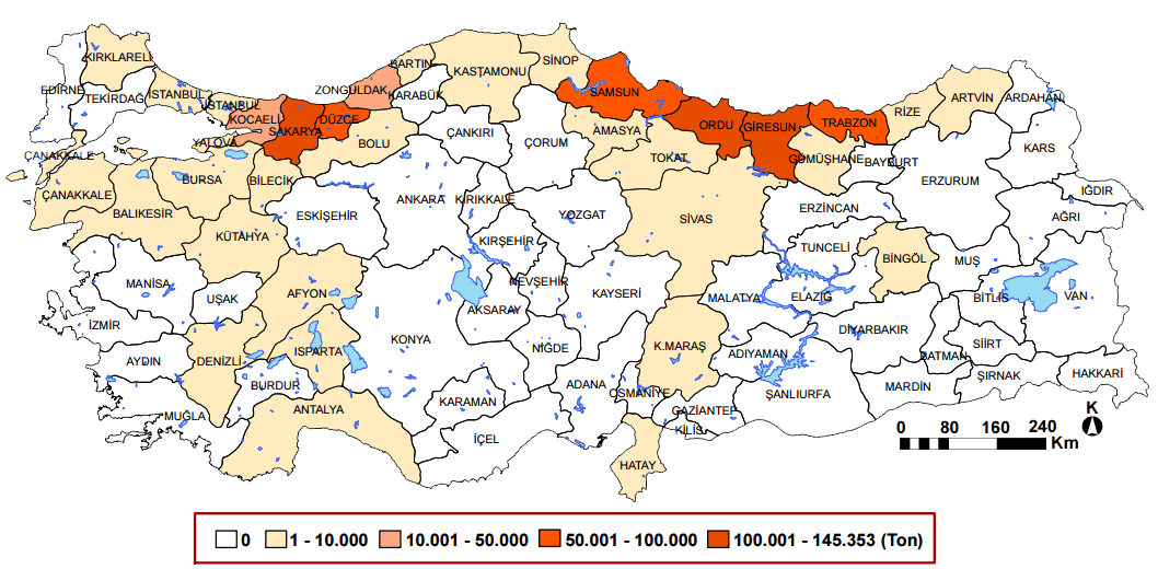 fındık 2012 coğrafya hocam