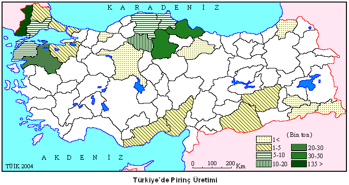 türkiye pirinç üretim haritası 2004 coğrafya hocam