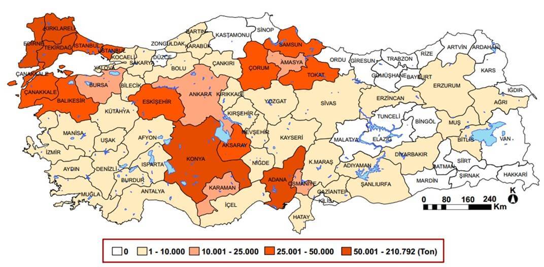 türkiye ayçiçeği üretim haritası 2013 coğrafya hocam