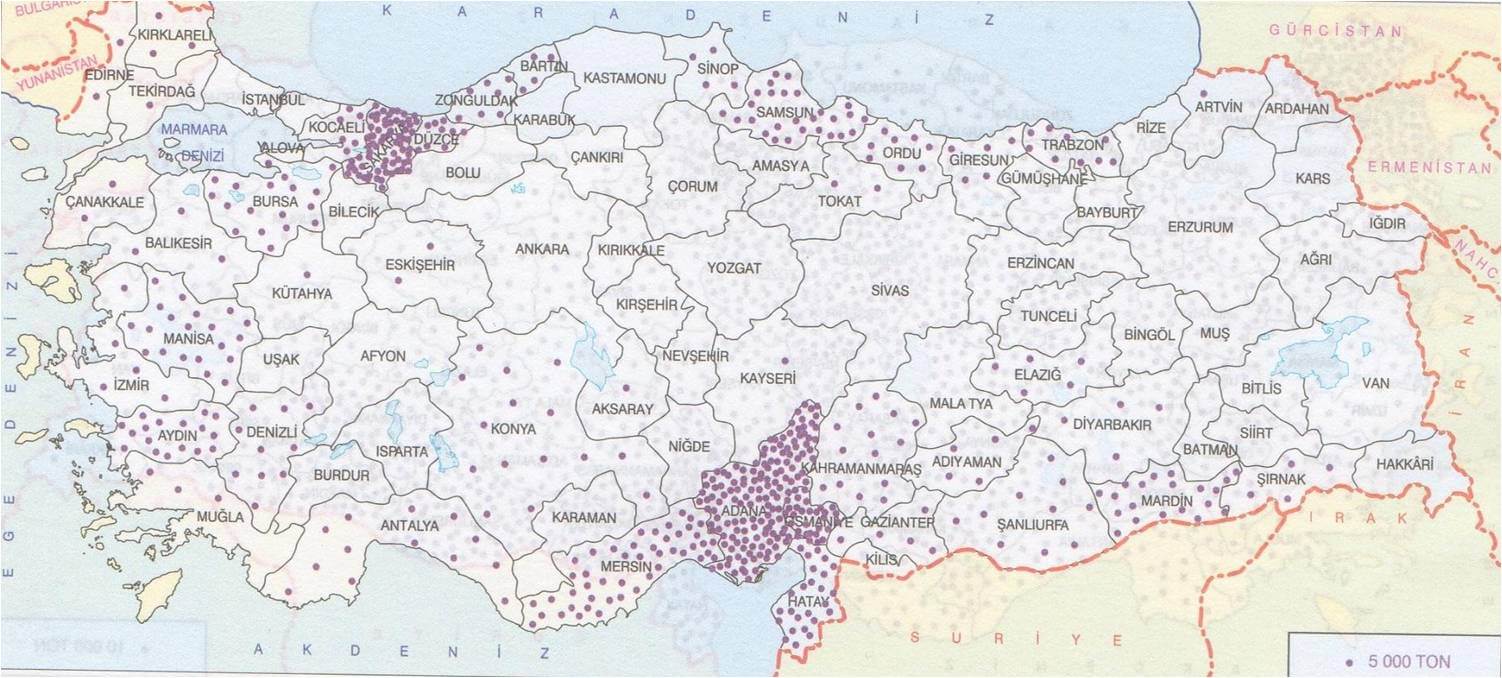 türkiye mısır üretim alanları coğrafya hocam
