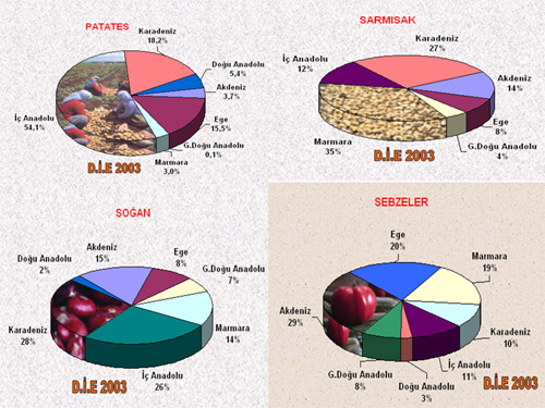 http://www.cografyatutkudur.com/tarim/yumru.jpg