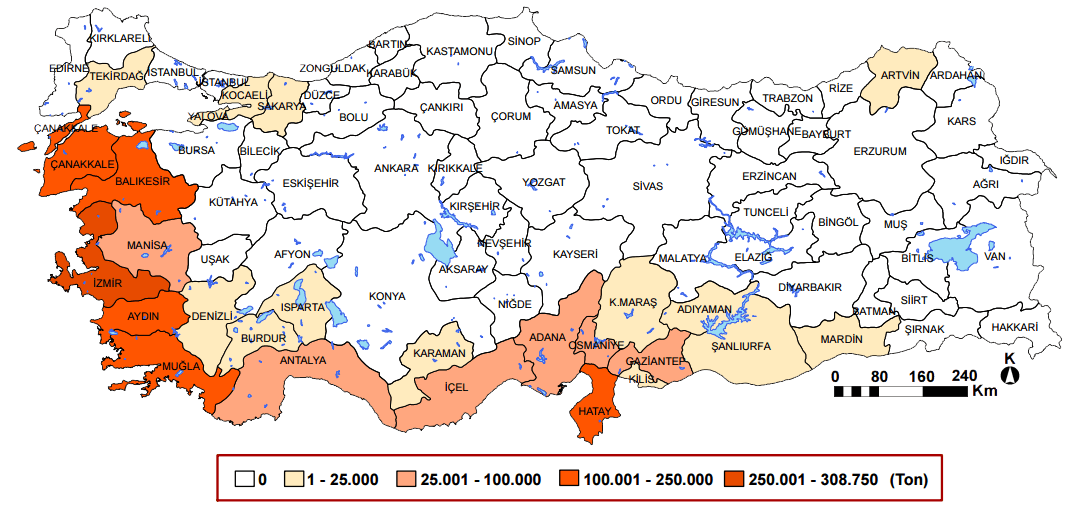türkiye zeytin üretimi 2012 coğrafya hocam