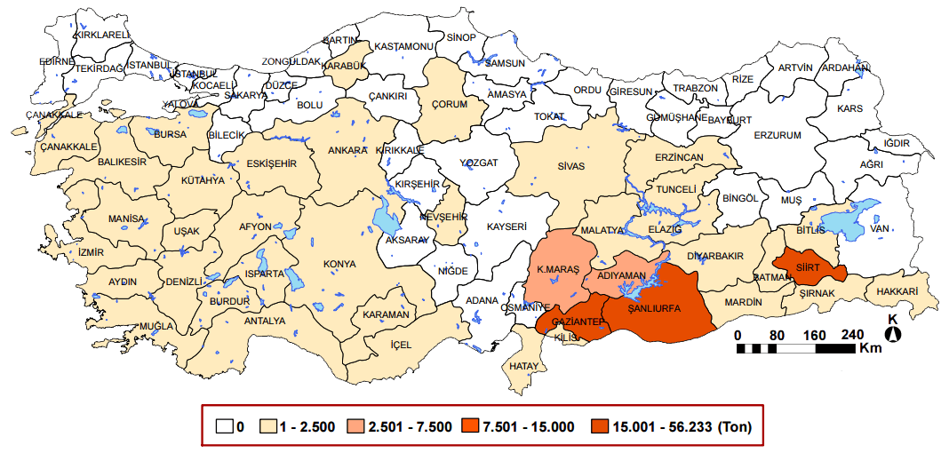 antepfıstığı 2012 coğrafya hocam