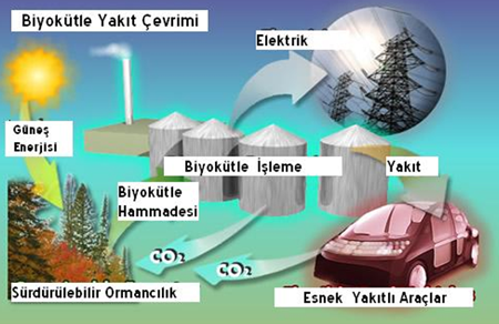 biyokütle enerjisi ile ilgili görsel sonucu