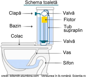 schemă toaletă