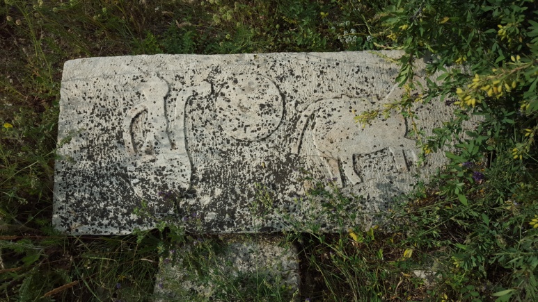 c:\users\pc\desktop\elmalı-kargın\192.jpg